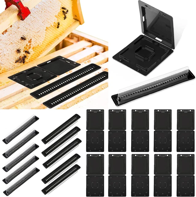 20 Pieces Beehive Beetle Trap Beekeeping Beehive Collector, 2 Shape Plastic Hive