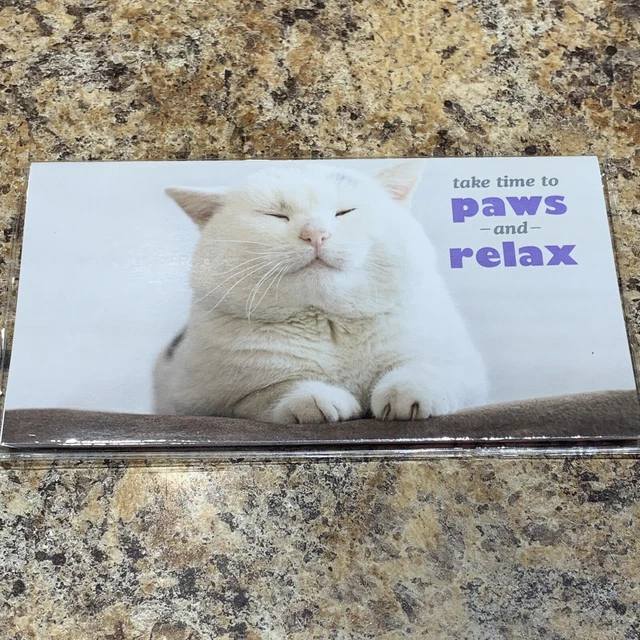 2023 AND 2024 Pocket Planner 2 Years Calendars Cat Theme 24 Months Paws