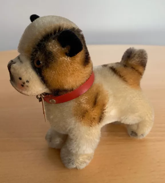 STEIFF Hund Bully mit rotem Halsband Mohair, 1310, 10 cm, 1951-1967, Schild