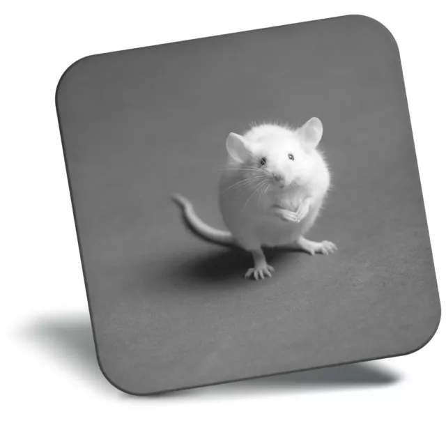 Awesome Fridge Magnet bw - Adorable White Mouse  #36087