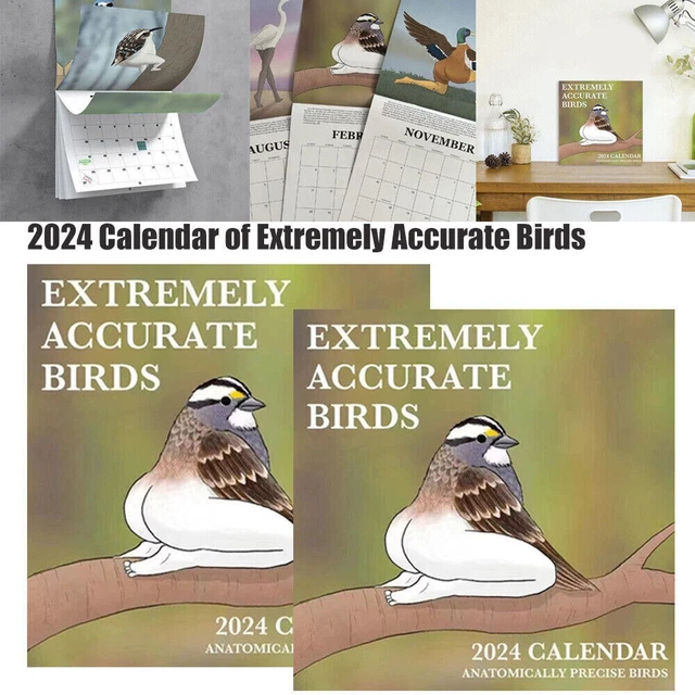 2024 CALENDAR OF Extremely Accurate Birds 2024 Bird Calendar Wall