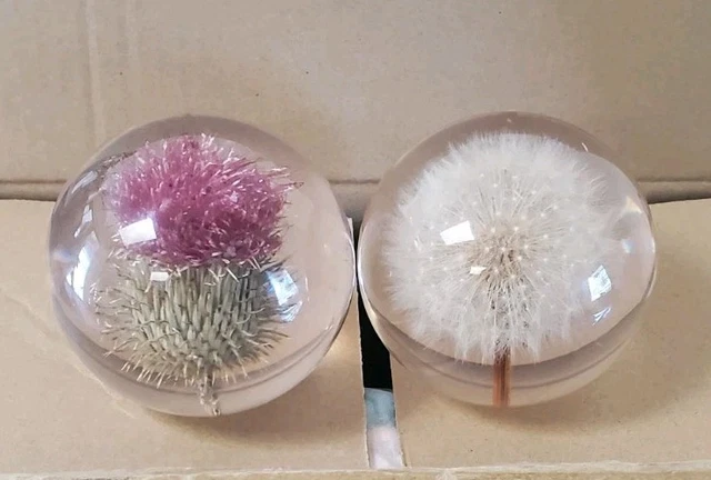 2 VINTAGE HAFOD GRANGE Dandelion/ Pink Thistle Paperweight