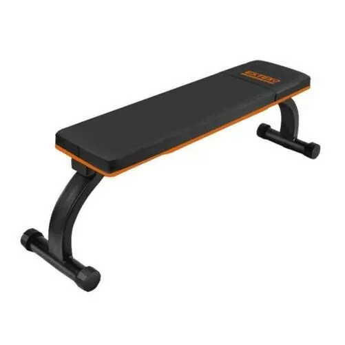 Banc Fitnessbank Plat de Musculation Station Remise en Forme Force Banque