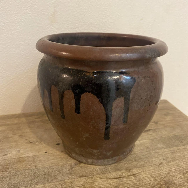 Antique Turtle Jar Discovered Under The Floor Of Pre-War House
