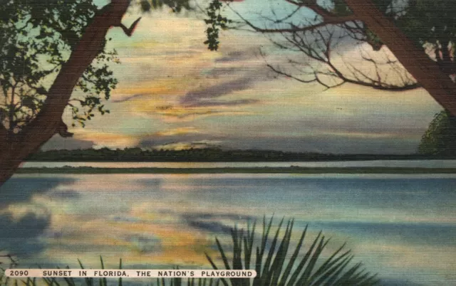 Postal de colección puesta de sol en Florida patio de recreo de la nación Hartman litografía ventas