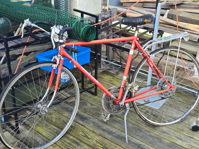 Panasonic sport deluxe 10 speed best sale