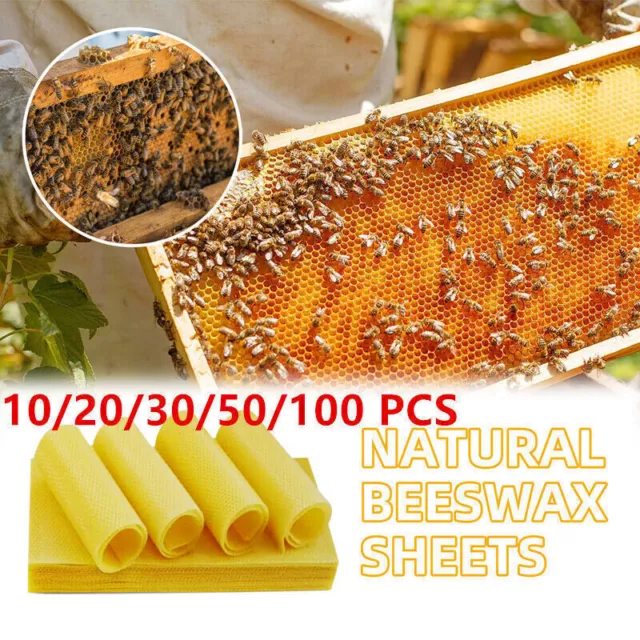10-100pcs Mittelwände Zander seuchenfrei aus reinem Bienenwachs WachsplattenLOVE
