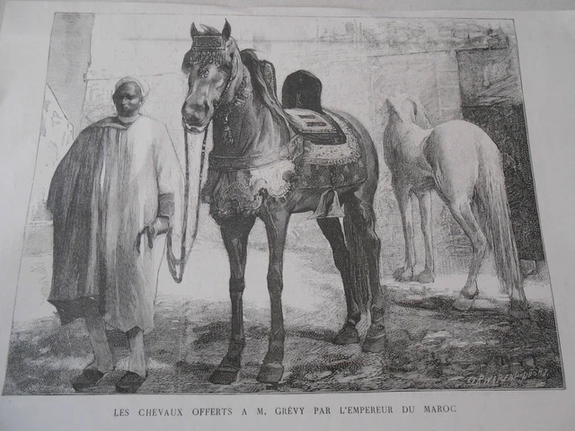 Gravure 1885 - Les chevaux offert à M. Grévy par l'empereur du Maroc