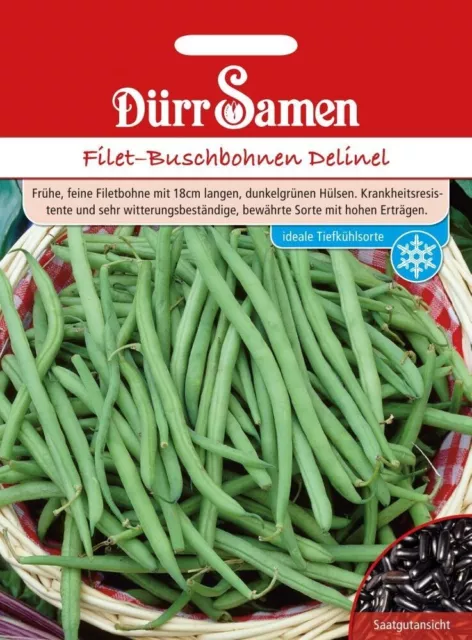 Haricots Nains Delinel Filet Graines De Dürr Samen Env. 150 Grain Haut