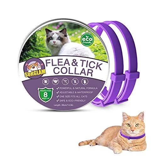 Collier Anti Puces pour Chat Collier Anti Puces Et Tiques pour Chats Collier ...