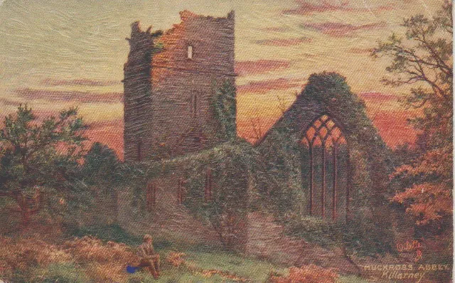 AK Muckross Abbey, Killarney