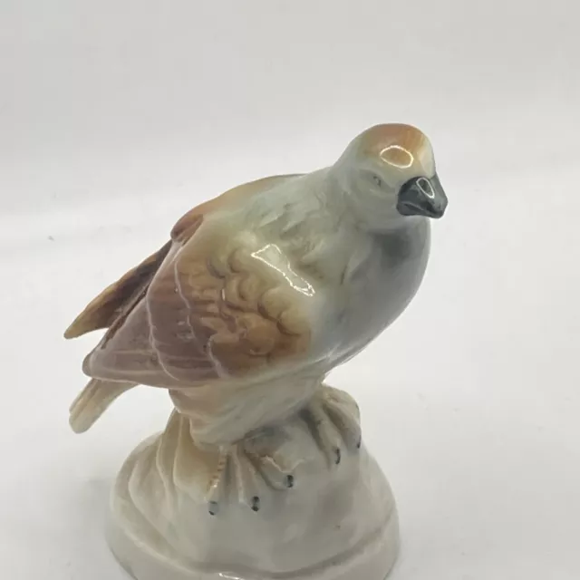 Vintage Foreign Bird Of Prey Eagle Porcelain Lustre Finish Figurine Numbered