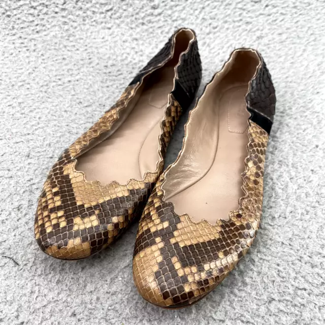 Chloe on sale snakeskin flats