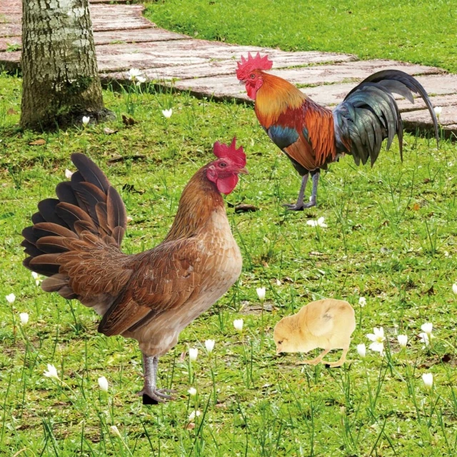 Rooster Chicken Statue Outdoor Garden Decoration Yard Art Figure Sculpture New