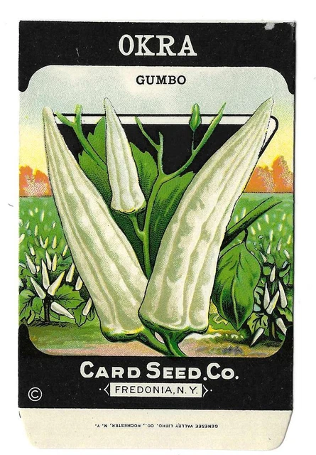 Okra or Gumbo Seed Packet, Card Seed Co., Fredonia, New York EARLY