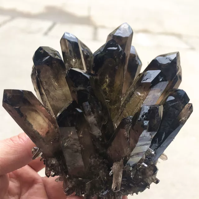 1.33lb New Find Black Phantom Quartz Crystal Cluster Mineral Specimen Healing