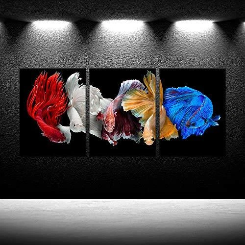 Five Betta Fish Canvas Prints Siamese Fighting Fish isolated on Black