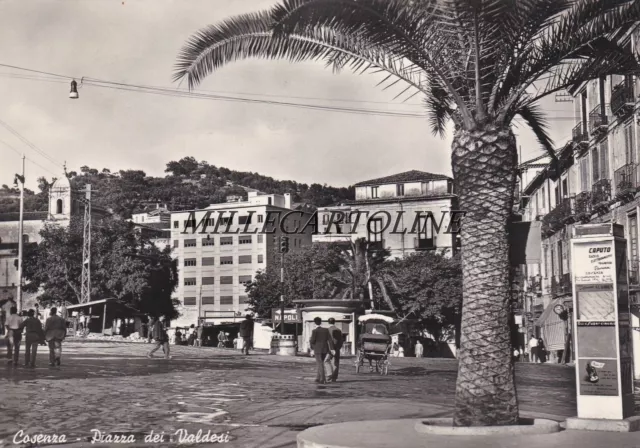 COSENZA: Piazza dei Valdesi    1957