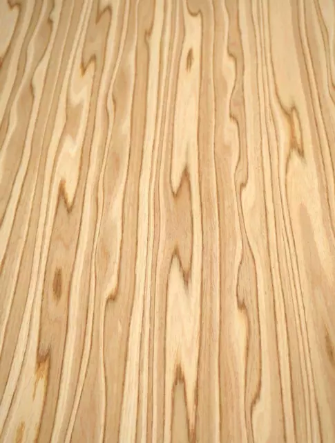 Olivos Chapa de Madera Saraifo Olivo Oliva Bois 250x63/64cm Ulivo Olivo Legno