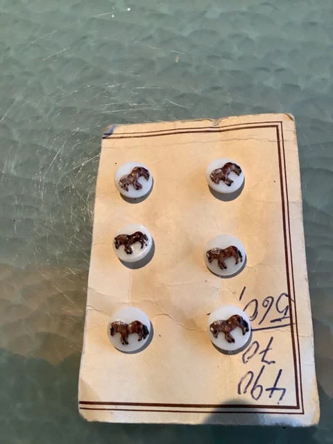 6 alte Knoepfe Kinder Pferd Pony