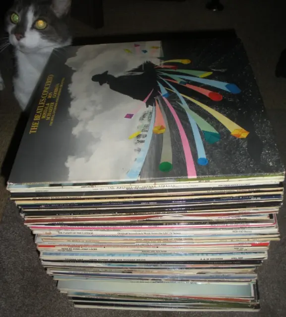 40 x Job Lot  12" LP's Vinyl Records Job Lot Bundle