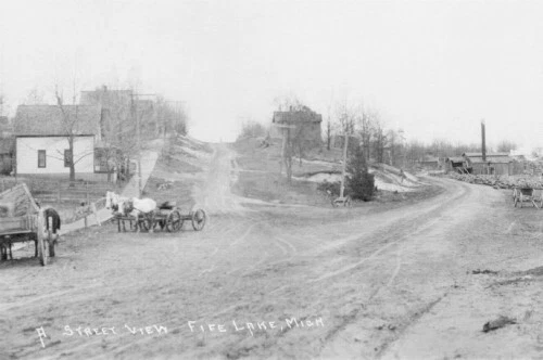Street View Fife Lake Michigan MI Reprint Postcard