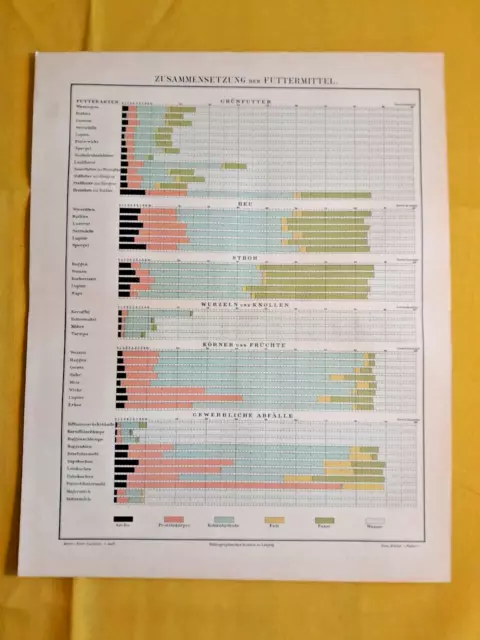 1896 ANIMAL FEED Composition Charts Livestock ORIGINAL 11.5 x 9.5 Color C10-6