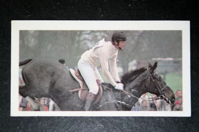 RICHARD MEADE   Horse Show Jumping   Meade      Photo Card