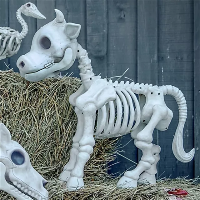 Cow Skeleton Halloween 2023 Halloween Skeleton Decorations Realistic Skeleton Co