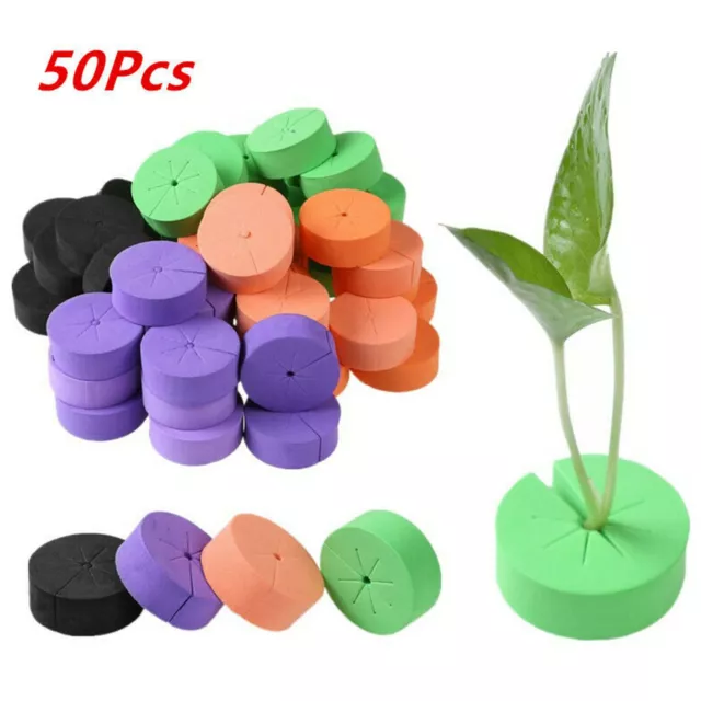 50Pcs Garden Clone Collars Hydroponics Cloning Machine Neoprene Foam Inserts DIY