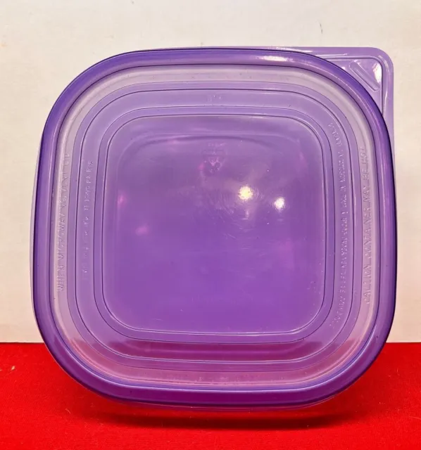 Purple Lid 3-1/8 cup 25 ounce Covered Food Storage Container #31H