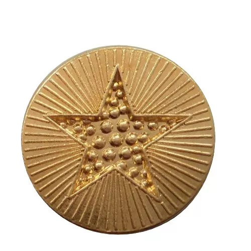 Gold Star Award Round Pin Badge For Schools