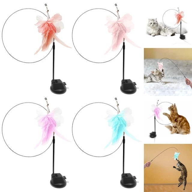 Jouet interactif de  de jouet de bâton de chat avec des jouets de