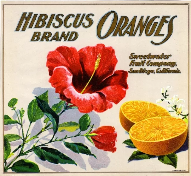 San Diego Hibiscus Flower Orange Citrus Fruit Crate Label Art Print