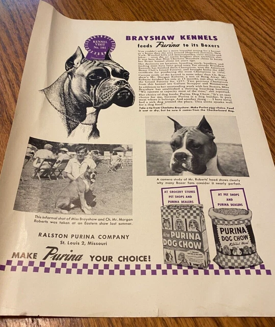 Vintage Purina Dog Chow Ad - Boxer #2