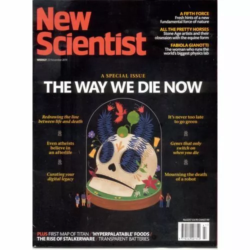 New Scientist magazine vol. 244 no. 3257 23 Nov 2019