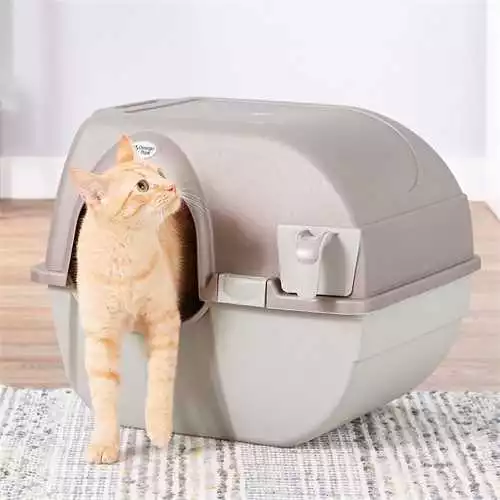 Cat Litter Box Self Cleaning Large Quick Easy and Clean