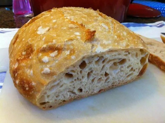 antipasto a pasta madre con istruzioni ai piedi 150 anni vecchio molto acido rimessa in vendita larry