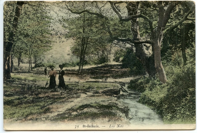 Carte Postale / Le Var // Saint Zacharie Les Nai