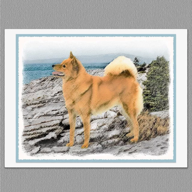 6 Finnish Spitz Dog Blank Art Note Greeting Cards 6 Finnish Spitz Dog Blank Art Note Greeting Cards