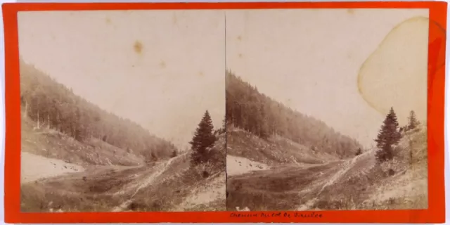 Isère.38.Chemin du Col de Saulce and view of the Col des Ayes.Unique Stereo Photo!1870