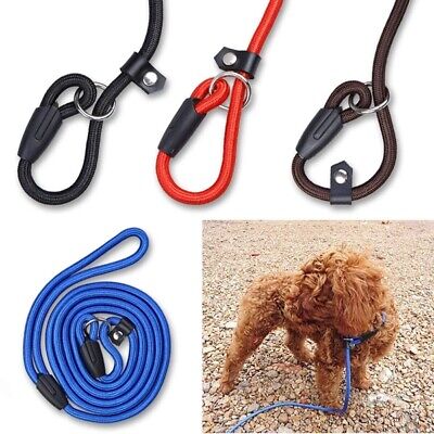 Adjustable Strong Nylon Slip On Rope Dog Pet Training Lead Leash No Collar Need
