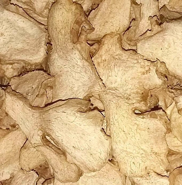 Raíz de jengibre - Zingiber officinale - boticario natural rodajas de hierbas Wicca té