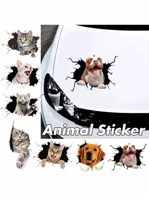 Cute Cat Sticker- Funny Cat Sticker / Meme Cat Sticker/ Pet Lover Sticker  Animal