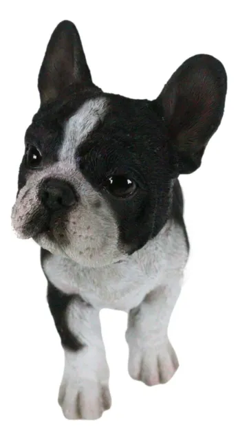 Realistic Lifelike Black French Bulldog Frenchie Puppy Dog Figurine Pet Pal 2