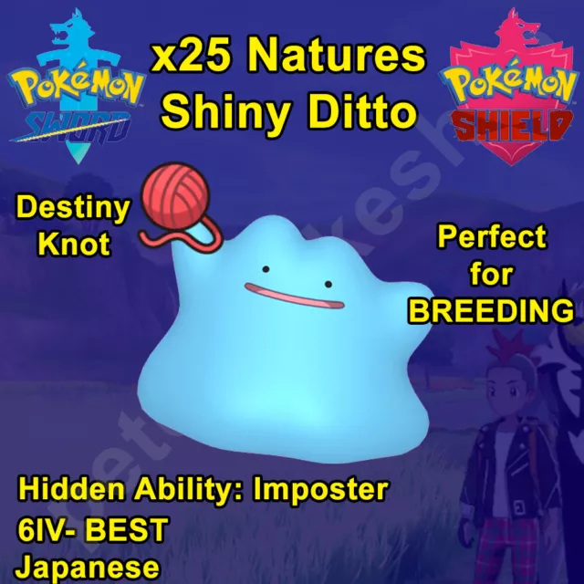 Ditto Package (25x, All Natures, Breeding Items, 6IV, Shiny, Foreign,  Japanese) – Pokemon Scarlet and Violet