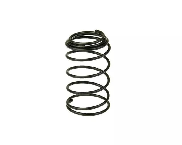 Pulse Rhythm 50 SB50QT-16 Sump Plump Oil Filter Spring for 50cc 139QMA/QMB 4T...