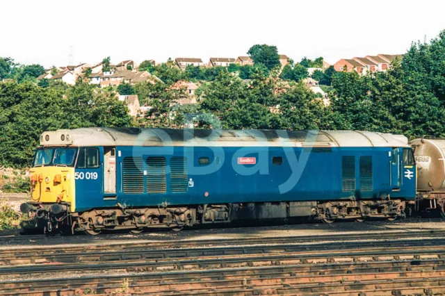Uk Diesel Train Railway Photograph Of Class 50 50019. Rm50-128