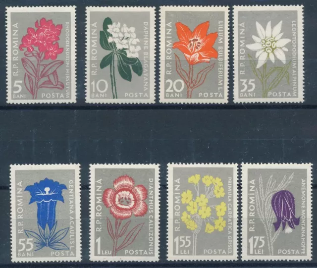 [BIN16429] Romania 1957 Flowers good set very fine MNH stamps