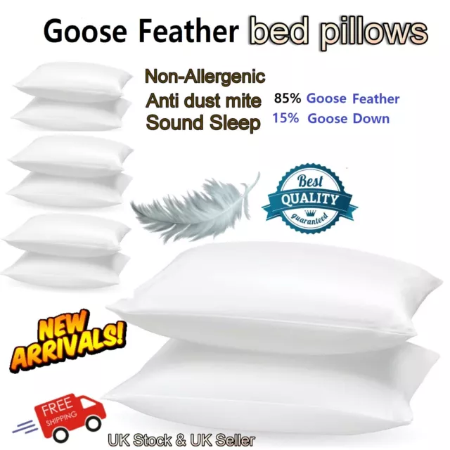 Goose Feather & Down Pillow Extra Filled Cotton Soft Hotel Quality Luxury Pillow